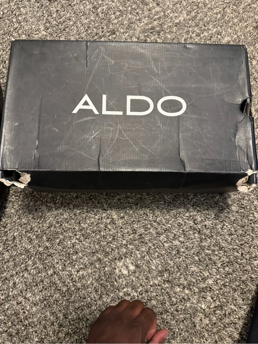 ALDO Dohman Men’s Leather Wingtip Oxford Dress Shoes Black Green Size 9.5